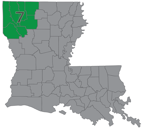 Region 7 Parishes: Caddo, Bossier, Webster, Claiborne, Bienville, Red River and DeSoto Parishes